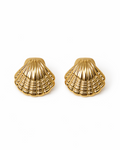BOUCLES D'OREILLES SHELL